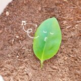 仕事現場でも起こる、「口笛が吹けなくなった現象」とは？