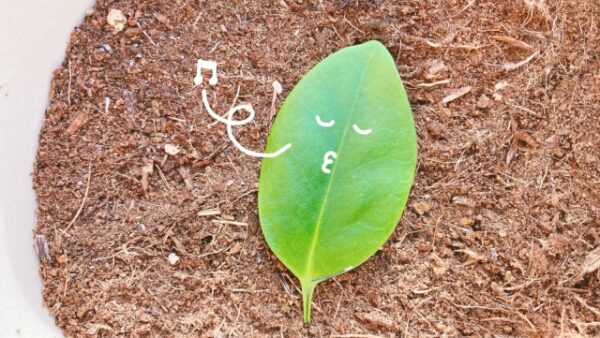 仕事現場でも起こる、「口笛が吹けなくなった現象」とは？